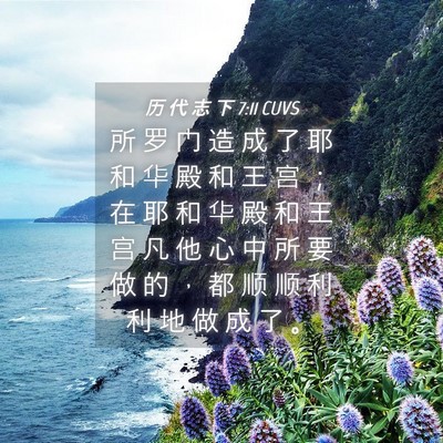 Picture 04 - 历 代 志 下 7:11 CUVS - 所 罗 门 造 成 了 耶 和 华 殿 和 王 - Bible Verse Picture