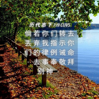 Picture 04 - 历 代 志 下 7:19 CUVS - 倘 若 你 们 转 去 丢 弃 我 指 示 你 - Bible Verse Picture