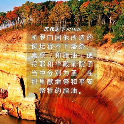 Picture 04 - 历 代 志 下 7:7 CUVS - 所 罗 门 因 他 所 造 的 铜 坛 容 不 - Bible Verse Picture