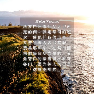 Picture 04 - 历 代 志 下 8:14 CUVS - 所 罗 门 照 着 他 父 大 卫 所 定 的 - Bible Verse Picture