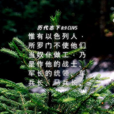 Picture 04 - 历 代 志 下 8:9 CUVS - 惟 有 以 色 列 人 ， 所 罗 门 不 使 - Bible Verse Picture
