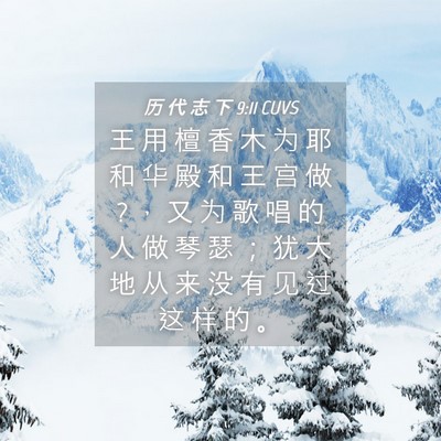 Picture 04 - 历 代 志 下 9:11 CUVS - 王 用 檀 香 木 为 耶 和 华 殿 和 王 - Bible Verse Picture