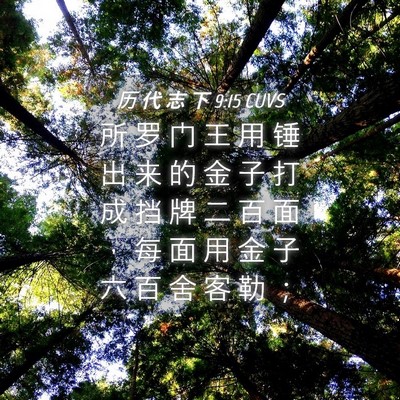 Picture 04 - 历 代 志 下 9:15 CUVS - 所 罗 门 王 用 锤 出 来 的 金 子 打 - Bible Verse Picture