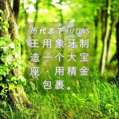 Picture 04 - 历 代 志 下 9:17 CUVS - 王 用 象 牙 制 造 一 个 大 宝 座 ， - Bible Verse Picture