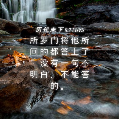 Picture 04 - 历 代 志 下 9:2 CUVS - 所 罗 门 将 他 所 问 的 都 答 上 了 - Bible Verse Picture