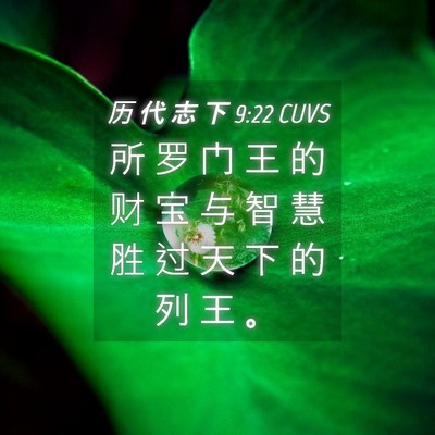 Picture 04 - 历 代 志 下 9:22 CUVS - 所 罗 门 王 的 财 宝 与 智 慧 胜 过 - Bible Verse Picture