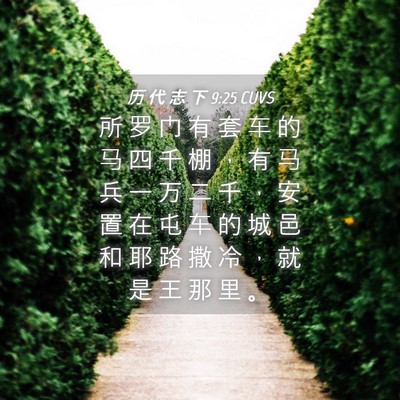 Picture 04 - 历 代 志 下 9:25 CUVS - 所 罗 门 有 套 车 的 马 四 千 棚 ， - Bible Verse Picture