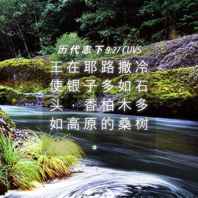 Picture 04 - 历 代 志 下 9:27 CUVS - 王 在 耶 路 撒 冷 使 银 子 多 如 石 - Bible Verse Picture