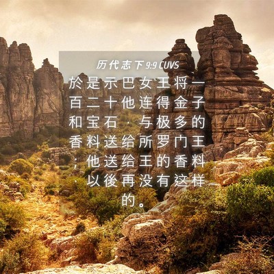 Picture 04 - 历 代 志 下 9:9 CUVS - 於 是 示 巴 女 王 将 一 百 二 十 他 - Bible Verse Picture