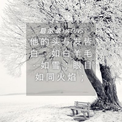 Picture 04 - 启 示 录 1:14 CUVS - 他 的 头 与 发 皆 白 ， 如 白 羊 毛 - Bible Verse Picture