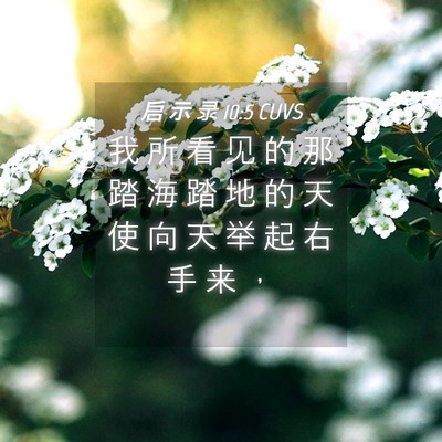 Picture 04 - 启 示 录 10:5 CUVS - 我 所 看 见 的 那 踏 海 踏 地 的 天 - Bible Verse Picture