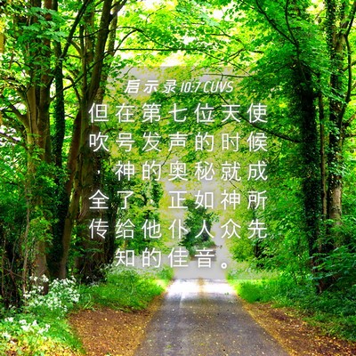 Picture 04 - 启 示 录 10:7 CUVS - 但 在 第 七 位 天 使 吹 号 发 声 的 - Bible Verse Picture