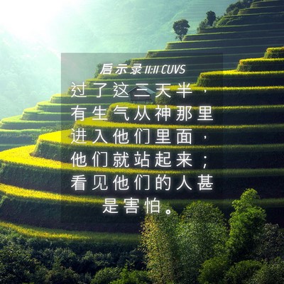 Picture 04 - 启 示 录 11:11 CUVS - 过 了 这 三 天 半 ， 有 生 气 从 神 - Bible Verse Picture