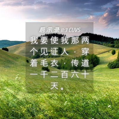 Picture 04 - 启 示 录 11:3 CUVS - 我 要 使 我 那 两 个 见 证 人 ， 穿 - Bible Verse Picture