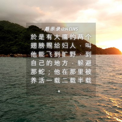 Picture 04 - 启 示 录 12:14 CUVS - 於 是 有 大 鹰 的 两 个 翅 膀 赐 给 - Bible Verse Picture