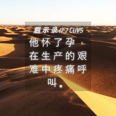 Picture 04 - 启 示 录 12:2 CUVS - 他 怀 了 孕 ， 在 生 产 的 艰 难 中 - Bible Verse Picture