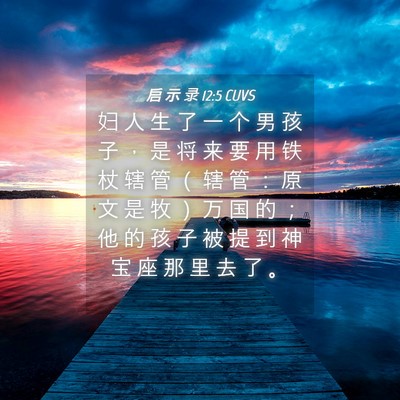 Picture 04 - 启 示 录 12:5 CUVS - 妇 人 生 了 一 个 男 孩 子 ， 是 将 - Bible Verse Picture