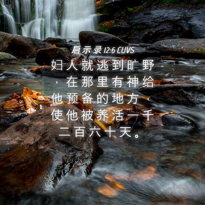Picture 04 - 启 示 录 12:6 CUVS - 妇 人 就 逃 到 旷 野 ， 在 那 里 有 - Bible Verse Picture