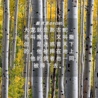 Picture 04 - 启 示 录 12:9 CUVS - 大 龙 就 是 那 古 蛇 ， 名 叫 魔 鬼 - Bible Verse Picture