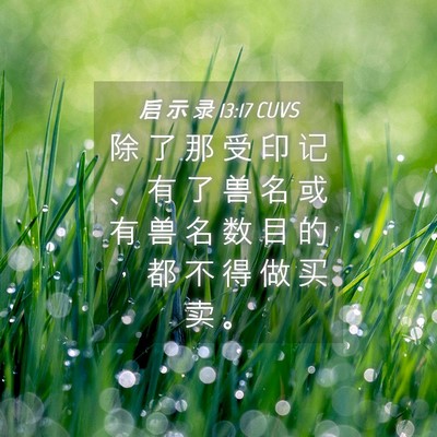 Picture 04 - 启 示 录 13:17 CUVS - 除 了 那 受 印 记 、 有 了 兽 名 或 - Bible Verse Picture
