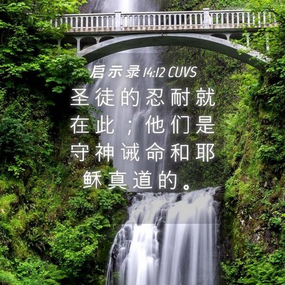 Picture 04 - 启 示 录 14:12 CUVS - 圣 徒 的 忍 耐 就 在 此 ； 他 们 是 - Bible Verse Picture