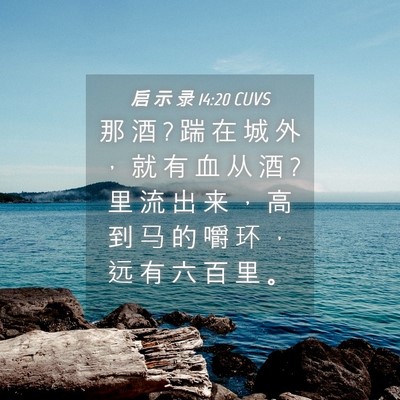 Picture 04 - 启 示 录 14:20 CUVS - 那 酒 ? 踹 在 城 外 ， 就 有 血 从 酒 - Bible Verse Picture
