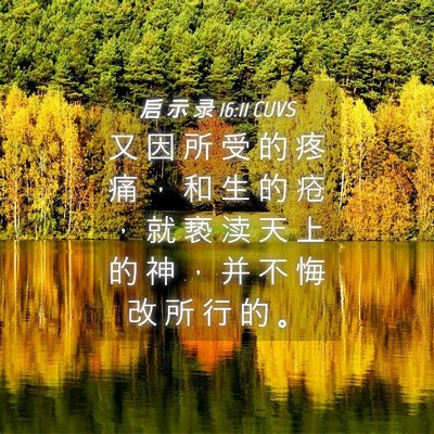Picture 04 - 启 示 录 16:11 CUVS - 又 因 所 受 的 疼 痛 ， 和 生 的 疮 - Bible Verse Picture