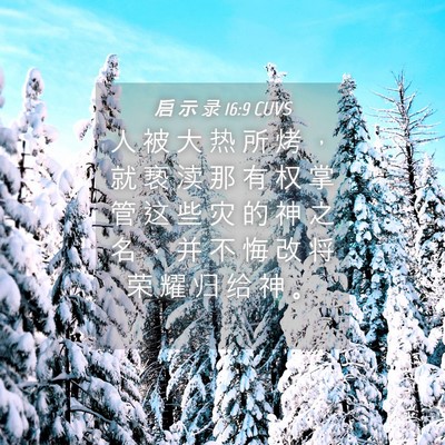 Picture 04 - 启 示 录 16:9 CUVS - 人 被 大 热 所 烤 ， 就 亵 渎 那 有 - Bible Verse Picture