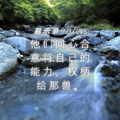 Picture 04 - 启 示 录 17:13 CUVS - 他 们 同 心 合 意 将 自 己 的 能 力 - Bible Verse Picture