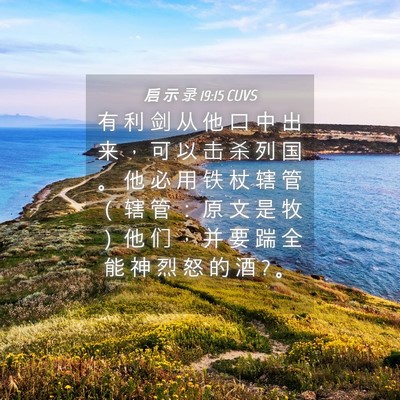Picture 04 - 启 示 录 19:15 CUVS - 有 利 剑 从 他 口 中 出 来 ， 可 以 - Bible Verse Picture