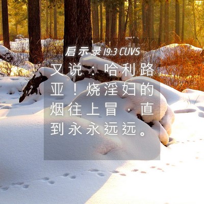 Picture 04 - 启 示 录 19:3 CUVS - 又 说 ： 哈 利 路 亚 ！ 烧 淫 妇 的 - Bible Verse Picture