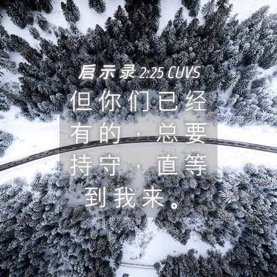 Picture 04 - 启 示 录 2:25 CUVS - 但 你 们 已 经 有 的 ， 总 要 持 守 - Bible Verse Picture