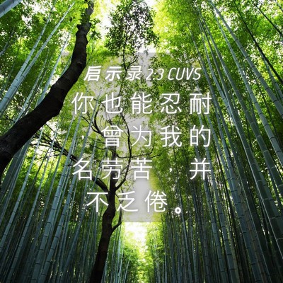 Picture 04 - 启 示 录 2:3 CUVS - 你 也 能 忍 耐 ， 曾 为 我 的 名 劳 - Bible Verse Picture