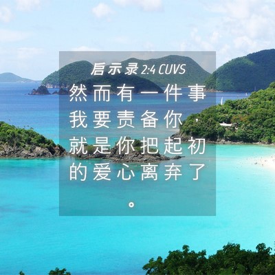 Picture 04 - 启 示 录 2:4 CUVS - 然 而 有 一 件 事 我 要 责 备 你 ， - Bible Verse Picture