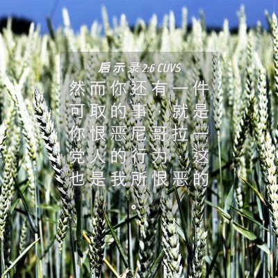 Picture 04 - 启 示 录 2:6 CUVS - 然 而 你 还 有 一 件 可 取 的 事 ， - Bible Verse Picture