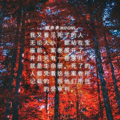 Picture 04 - 启 示 录 20:12 CUVS - 我 又 看 见 死 了 的 人 ， 无 论 大 - Bible Verse Picture