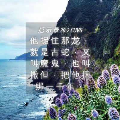 Picture 04 - 启 示 录 20:2 CUVS - 他 捉 住 那 龙 ， 就 是 古 蛇 ， 又 - Bible Verse Picture