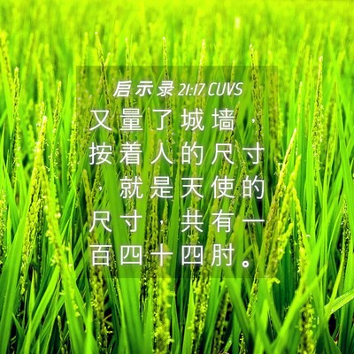 Picture 04 - 启 示 录 21:17 CUVS - 又 量 了 城 墙 ， 按 着 人 的 尺 寸 - Bible Verse Picture