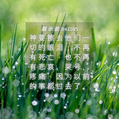 Picture 04 - 启 示 录 21:4 CUVS - 神 要 擦 去 他 们 一 切 的 眼 泪 ； - Bible Verse Picture