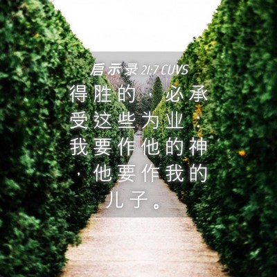 Picture 04 - 启 示 录 21:7 CUVS - 得 胜 的 ， 必 承 受 这 些 为 业 ： - Bible Verse Picture