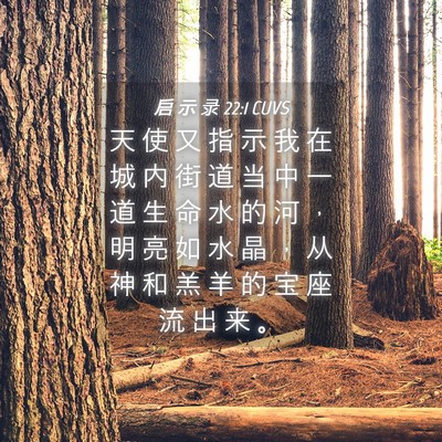 Picture 04 - 启 示 录 22:1 CUVS - 天 使 又 指 示 我 在 城 内 街 道 当 - Bible Verse Picture