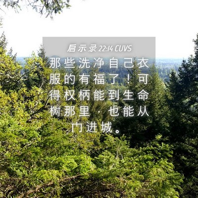 Picture 04 - 启 示 录 22:14 CUVS - 那 些 洗 净 自 己 衣 服 的 有 福 了 - Bible Verse Picture