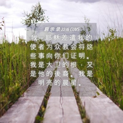 Picture 04 - 启 示 录 22:16 CUVS - 我 ─ 耶 稣 差 遣 我 的 使 者 为 众 - Bible Verse Picture