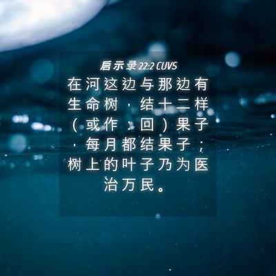 Picture 04 - 启 示 录 22:2 CUVS - 在 河 这 边 与 那 边 有 生 命 树 ， - Bible Verse Picture
