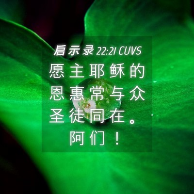 Picture 04 - 启 示 录 22:21 CUVS - 愿 主 耶 稣 的 恩 惠 常 与 众 圣 徒 - Bible Verse Picture