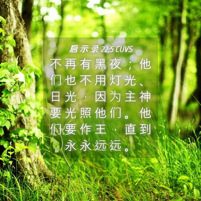 Picture 04 - 启 示 录 22:5 CUVS - 不 再 有 黑 夜 ； 他 们 也 不 用 灯 - Bible Verse Picture