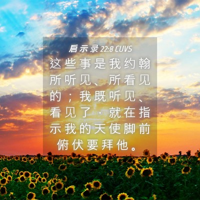 Picture 04 - 启 示 录 22:8 CUVS - 这 些 事 是 我 约 翰 所 听 见 、 所 - Bible Verse Picture
