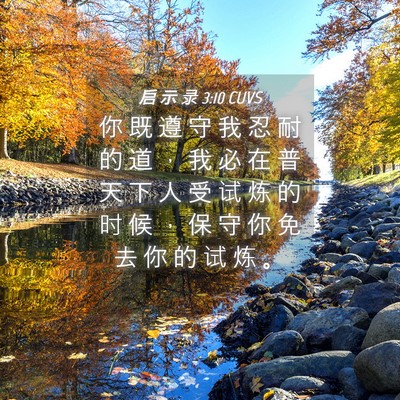 Picture 04 - 启 示 录 3:10 CUVS - 你 既 遵 守 我 忍 耐 的 道 ， 我 必 - Bible Verse Picture