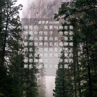Picture 04 - 启 示 录 3:12 CUVS - 得 胜 的 ， 我 要 叫 他 在 我 神 殿 - Bible Verse Picture