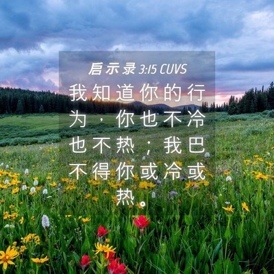 Picture 04 - 启 示 录 3:15 CUVS - 我 知 道 你 的 行 为 ， 你 也 不 冷 - Bible Verse Picture